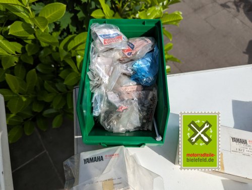 PXL_20240527_145518957
